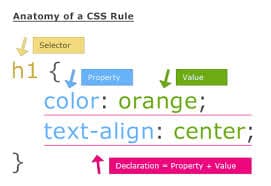 Jenis – Jenis Selector Pada CSS