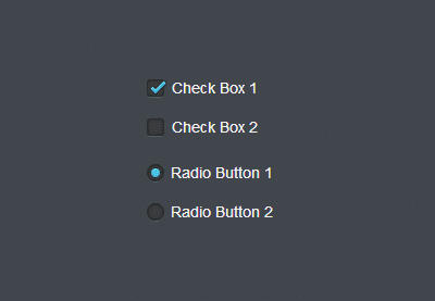 Element Form Optional HTML: Cara Membuat Radio Button, Checkbox & Select