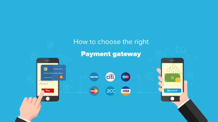 apa itu payment gateway dan contohnya 