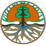 jasa pembuatan website kontraktor property responsive